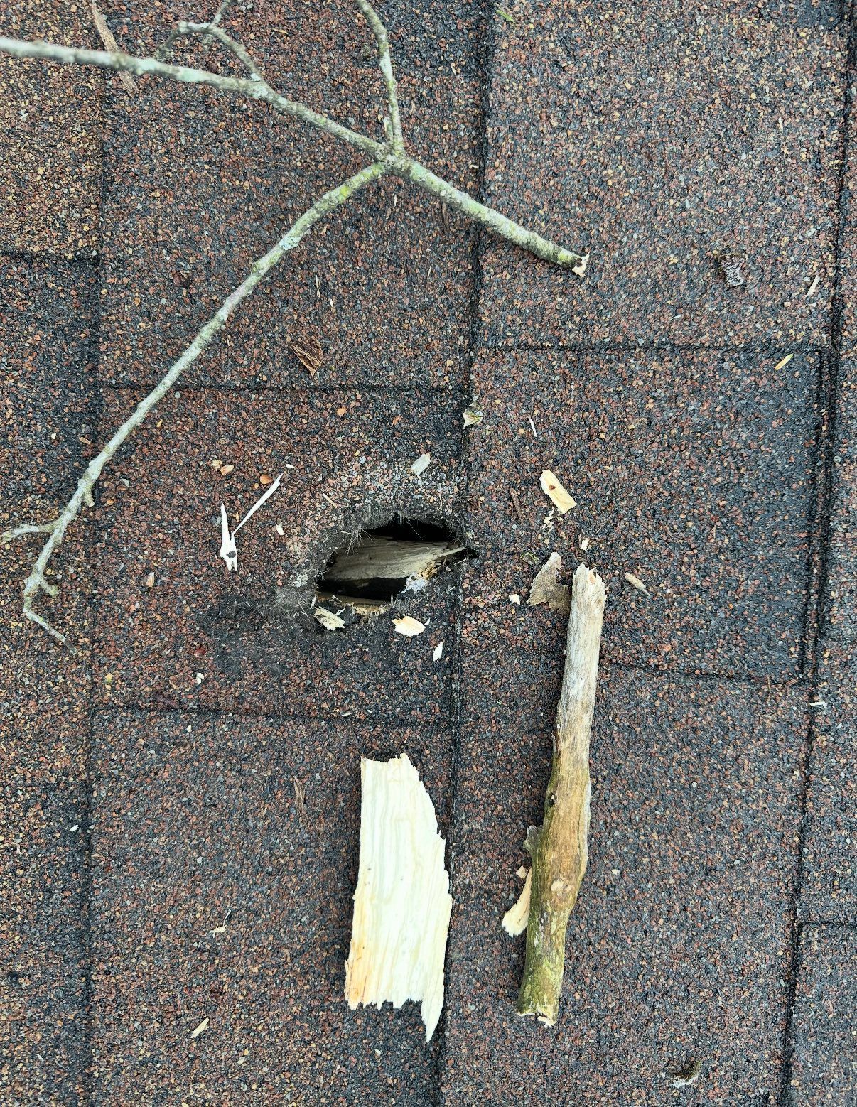 Hail Damage Roof 