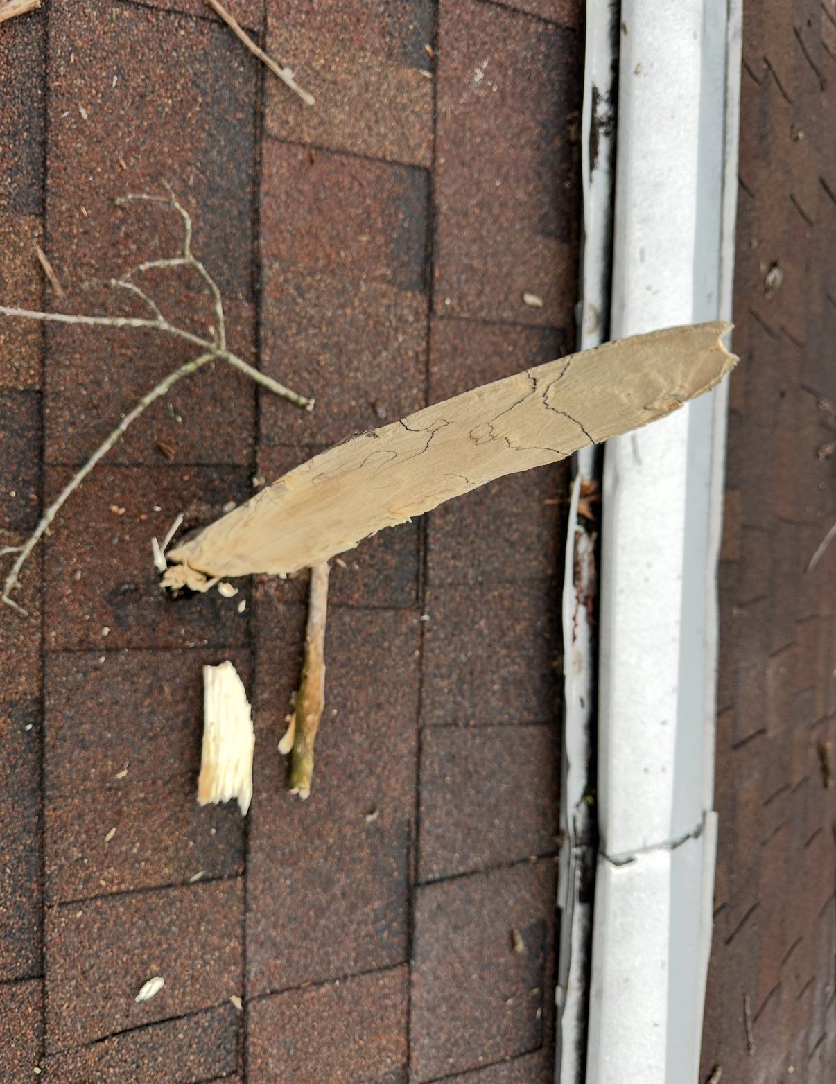 Storm Damage Roof Repair - Photo 3